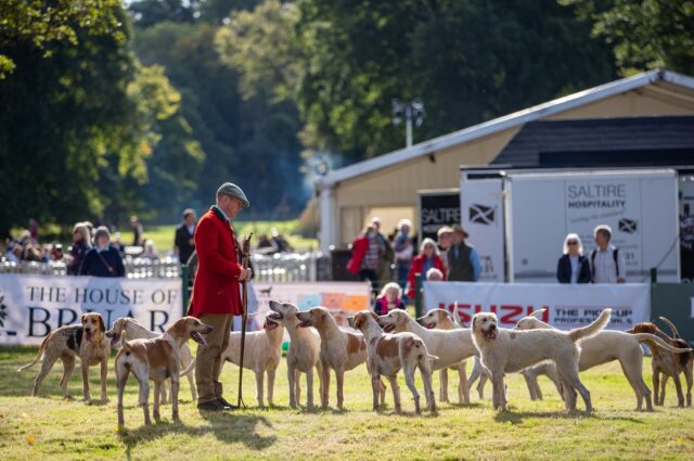 The Scotish Gamefair George Gunn 1099