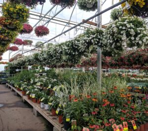 Rivage 3 WJI Bxj WVYI unsplash