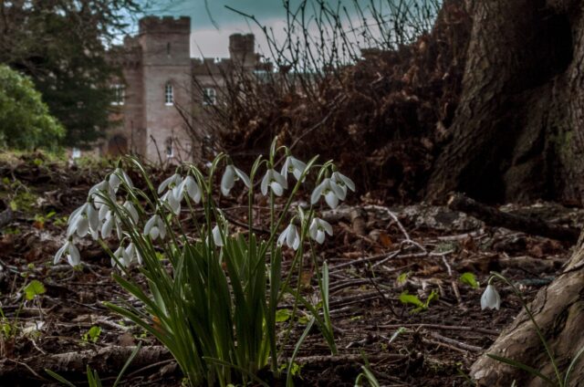 2017febsconejw389 copy