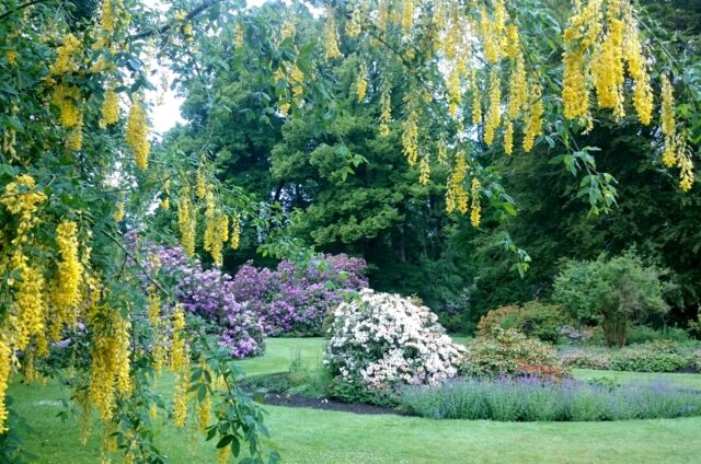Grounds at Scone Palace 1
