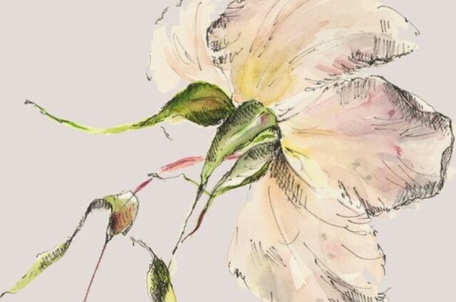 4889d639 73cd 412d bec8 c4654b8db760