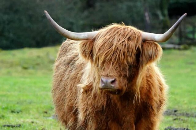 Eb6d4990757de3b541e494d731eb0a3c