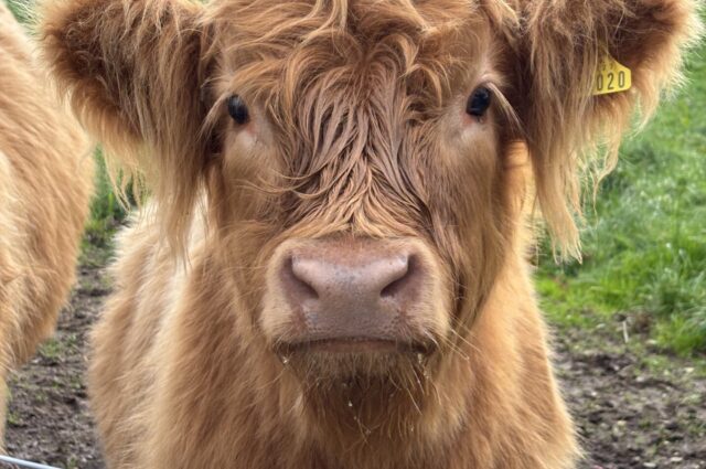 Eb72ec33 ea5f 4cba a25d f397f14c0105